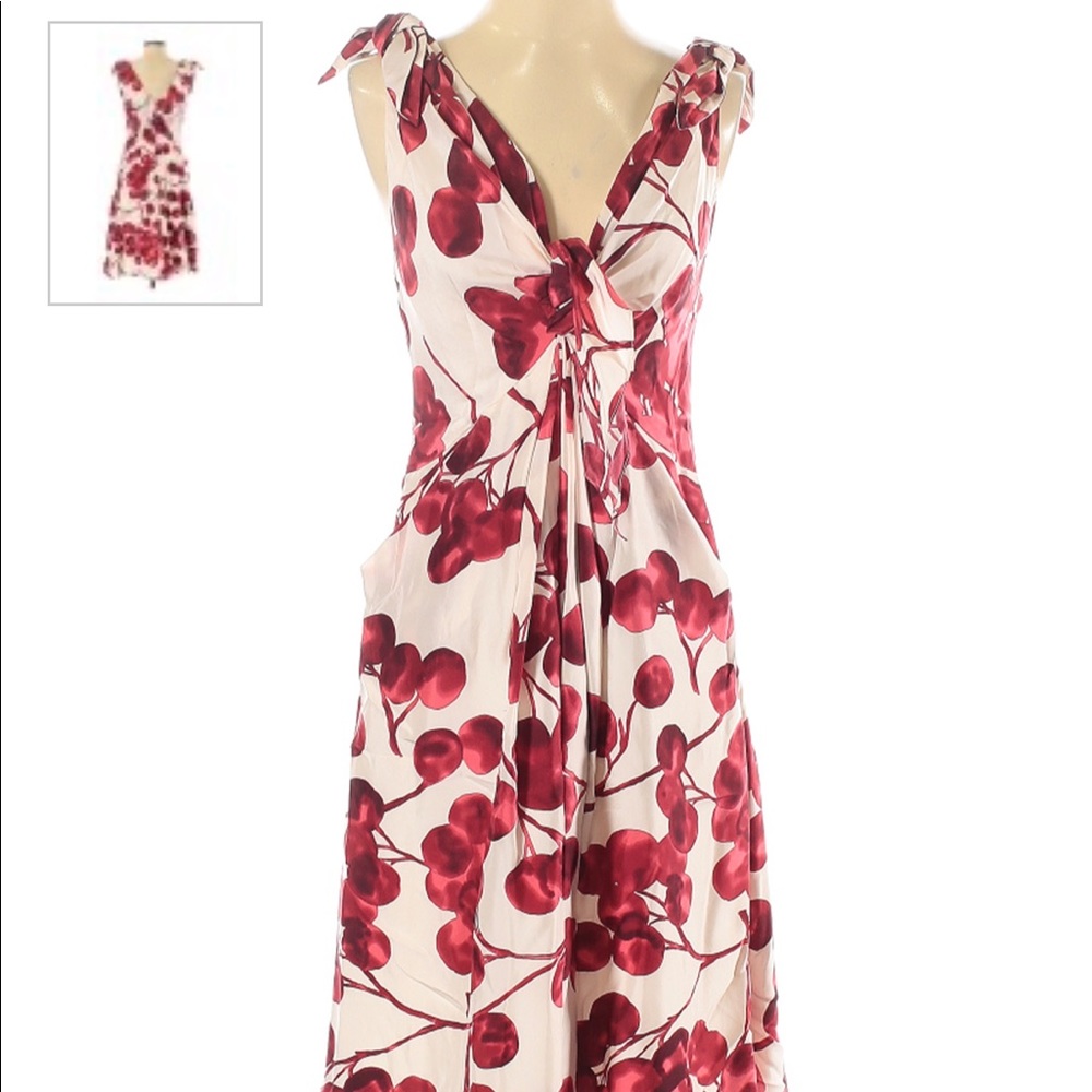 Anthropologie - Yoana Baraschi - Dress - PERFECT FOR SPRING!